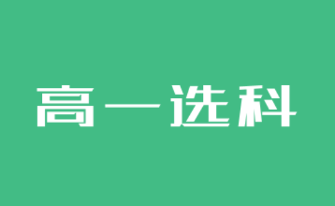 新高考选科想选物理怎么组合好